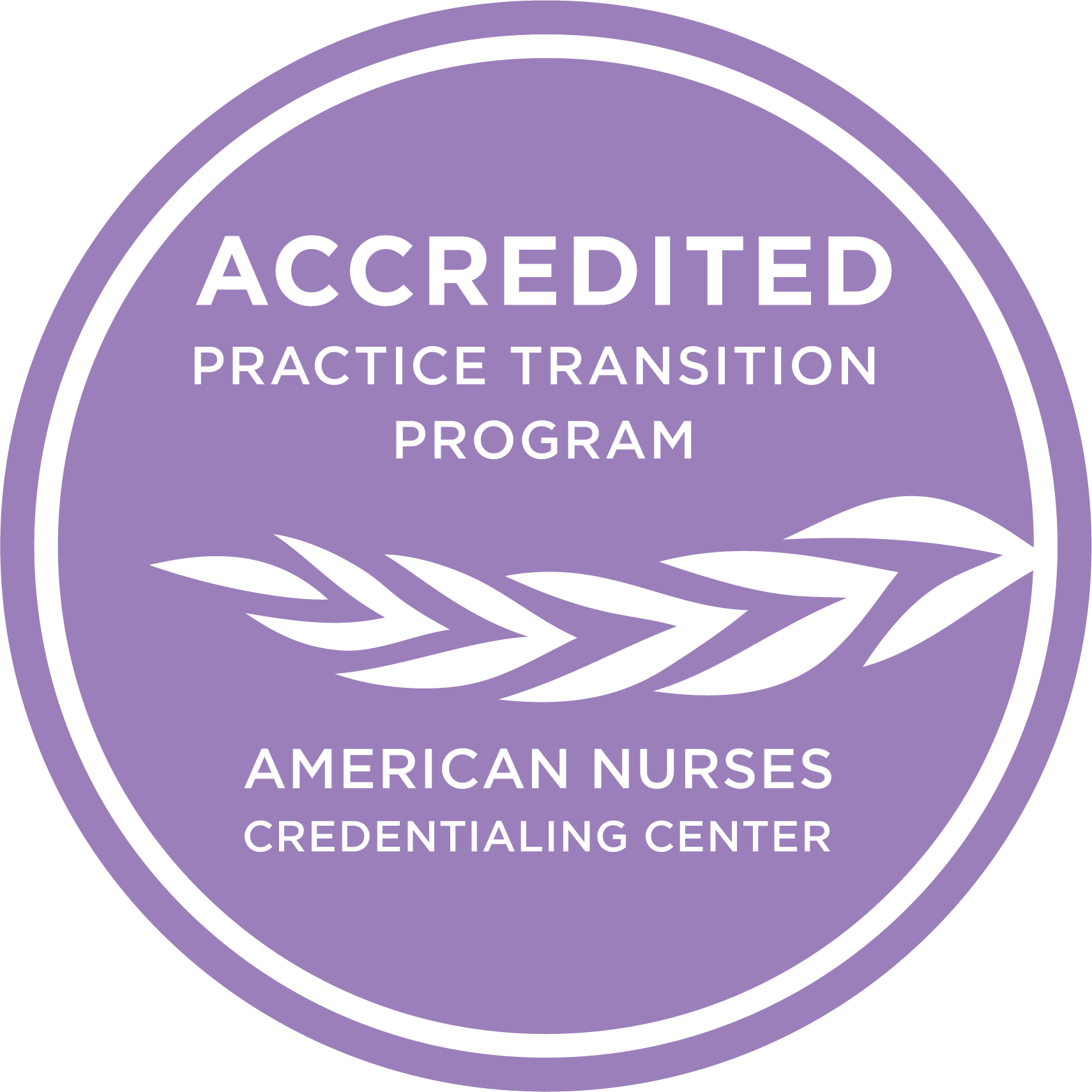Accredited practice transition program